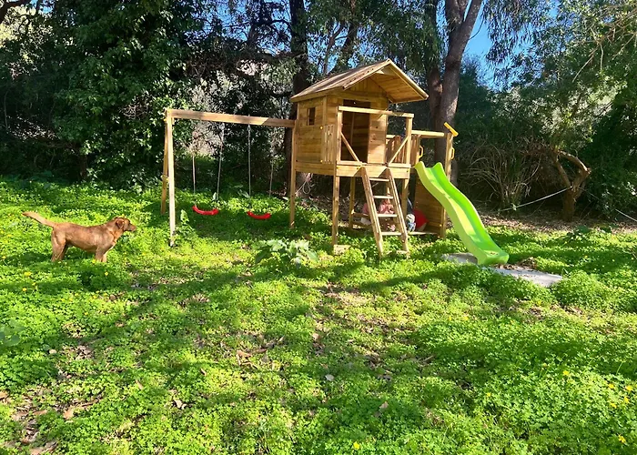 Liri - Family Paradise * Jaliszósz